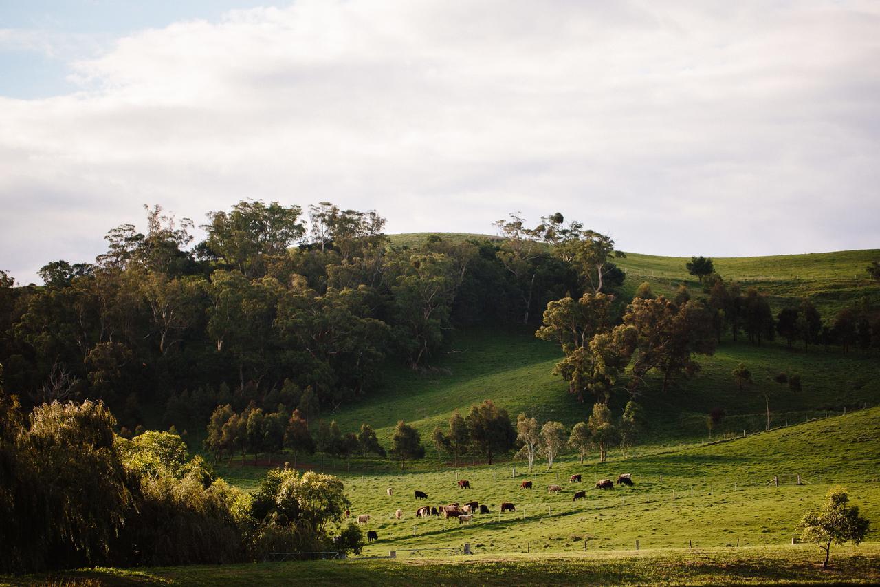 Bendooley Estate Hotel Berrima Eksteriør billede